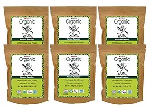 Radico 100% Organic Henna Powder (Set Of 6)