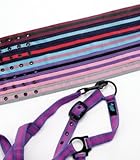  HY - Cabezada para caballos Purple-Fuchsia Talla:Pony