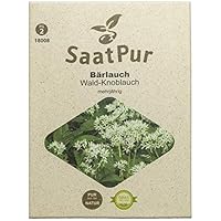 SaatPur Bärlauch Samen für ca. 50 Pflanzen