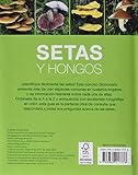 Image de Setas Y Hongos