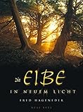 Die Eibe in neuem Licht by 