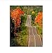 Produktbild LIWEIXKY Rahmenlos Bilder DIY Digitales Ölgemälde Malen nach Zahlen Weihnachten Geburtstag Einzigartiges Geschenk CanvasPainting Straße führt in den Himmel 40x50cm