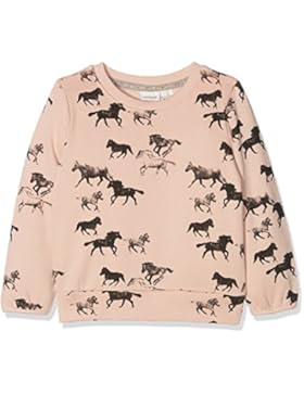 NAME IT Baby-Mädchen Sweatshirt Nitditan Ls Swe Top Bru F Mini