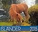 Island Pferde Kalender 2015 by 