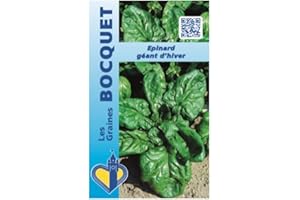 Sachet de graines de Epinard géant d'hiver - 15 g - légume feuille - LES GRAINES BOCQUET