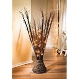 Garten strauch Garten strauch