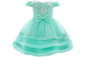 Lito Angels Dziewczęca sukienka druhny dla dziewczynki z kwiatami haftowana kwiatowa elegancka suknia balowa w wieku 6-24 miesięcy, zielona różowa zakurzona róża