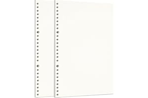 Zelten 2 Paquetes B5 120 Hojas/240 Páginas Papel Perforado de Hoja Suelta Recambios de Papel para la Carpeta de 26 Agujeros Organizador Personal Cuaderno de Diario Rellenable Planificador