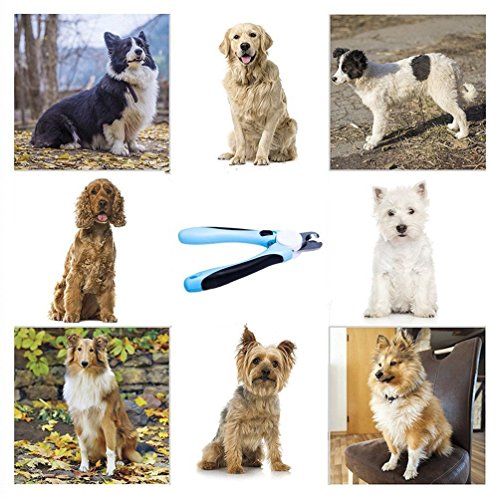 Animal Professionelle Krallenschere für Haustiere Schutzvorrichtungfür und Nagelknipser für mittelgroße & große Hunde und Katzen - 8