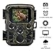 Produktbild Donnagelia Mini Wildkamera Fotofalle mit Bewegungsmelder 20m Nachtsicht 1080P 2,4" LCD Bildschirm Wasserdicht IP56 für Jagd Wild Beobachtung