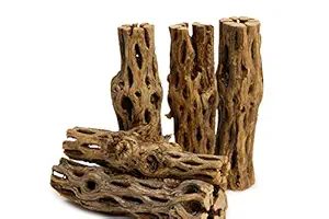 NilocG Aquatics 5 Pieces 5-6 Long Natural Cholla Wood for Aquarium Decoration