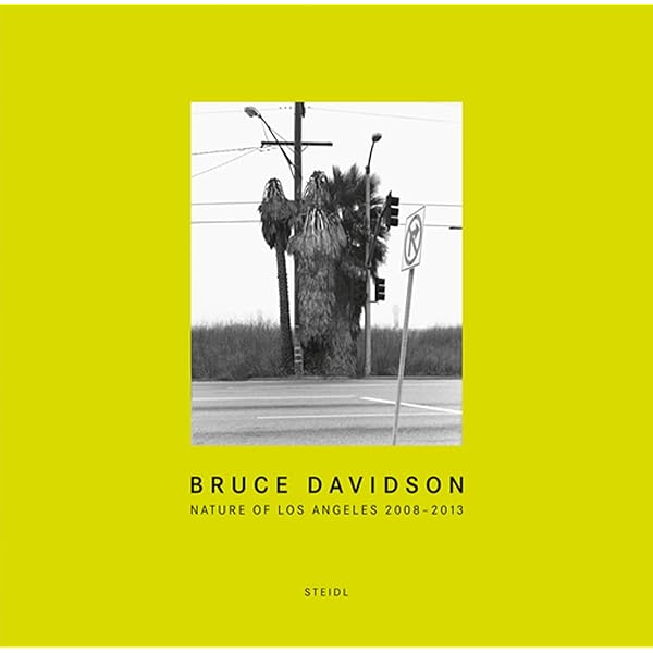 Bruce Davidson: In Color : Davidson, Bruce: Amazon.co.uk: Books