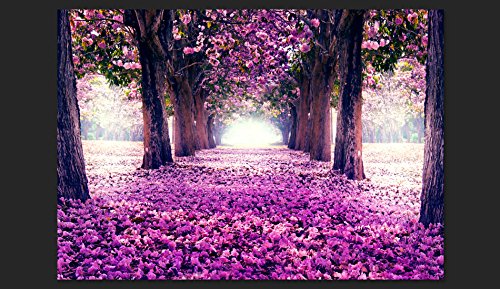 FOTOTAPETE VLIES PREMIUM: 250×175 cm (BxH) – bedruckt auf deutscher Premium Vliesleinwand – Keine Papiertapete ! – 3 Farben zur Auswahl – Top – Tapete – Wandbilder XXL – Wandbild – Bild – Fototapeten – Tapeten – Wandtapete – Wand – Weg Blumen Bäume Allee violett c-A-0031-a-c - 2