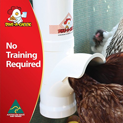 DINE A CHOOK Set 1x 3.5l Geflügel Futterautomat & 1x 4l Tränkautomat - 7