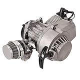 motor 49cc La culata de aluminio y el cuerpo del cilindro de hierro mejoran la capacidad de disipación de calor y el par del motor