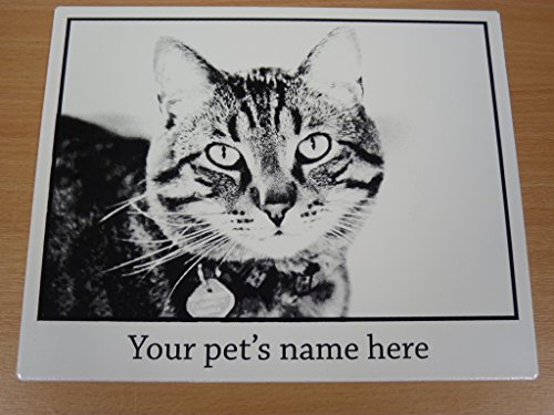 Pet-DogCat-Photo-Memorial-Enamel-Plaque-Personalised-With-Your-Picture-Text