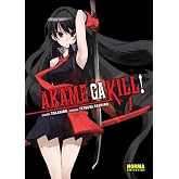 AKAME GA KILL! 01