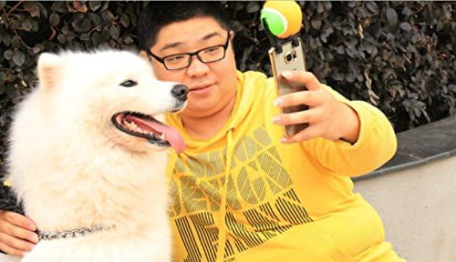 KTROMAN Tennis Smartphone Attachment Selfie Stick Ball For Pet Dog self-Timer