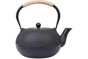 DEMEUBLE Théière japonaise en fonte avec infuseur en acier inoxydable 800 ml