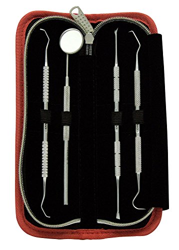 CANDURE® – 4 Stück Dental Set – Berechnung Plaque Zahnsteinentfernung Zahnschaber – Zahnreiniger Scaler – Sonde Zahnpflege Edelstahl Instrument – Calculus Plaque Entferner – dental instrumente – Zahnreinigung Sonde – Tartar Scraper Scaler Instrument Zahnstocher und Mundspiegel für Zähne Whitening Deep Teeth – dentale spiegel – Doppelköpfiger Probe - 2