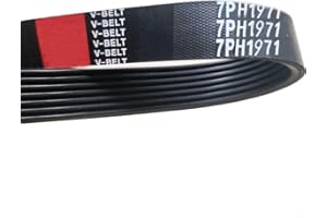 Sankuai Cinghia 7PH 1971 Compatibile con asciugatrice(136603300)