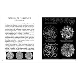 Le nombre d'Or: L'un des plus grands secrets de la nature Livre en Ligne Le nombre d'Or: L'un des plus grands secrets de la nature Livre en Ligne - Telecharger Ebook