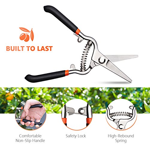 Gartenschere Kit, OMorc Rebschere Set Blumenschere Holzschere Astschere Baumschere mit 1 Paar Bypass Pruner und 1 Paar Slim Garden Schere ideal für Scheren Zweige, Stängel, kleine Pflanzen und Kommissionierung Früchte. - 4
