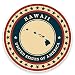 Produktbild 2 x 10cm/100mm Hawaii USAVinyl SELBSTKLEBENDE STICKER Aufkleber Laptop reisen Gepäckwagen iPad Zeichen Spaß #9341