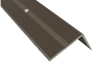 Dalsys Treppenkantenprofil Vinyl, Laminat zum Schrauben Champagner 100cm x 42mm x 20mm Winkelprofil aus Aluminium eloxiert