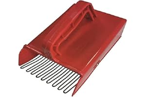 VIGOR Coglibacche e mirtilli