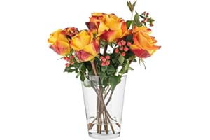 ‎TREND FOR HOME TREND FOR HOME Tulpenvase H: 19 cm Blumenvase Glas Große Vase für Rosen Glasvase Rund Vase für Tulpen Amaryllis Vase Gross Rosenvase Runde Glasvase Durchsichtige Vase | ⌀ 14.2 cm | Alyssa