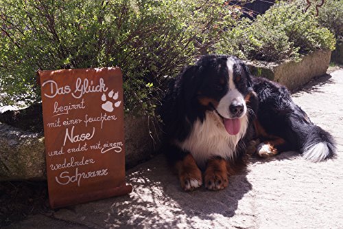 Edelrost Tafel Das Glück beginnt mit einer feuchten Nase…Haustier Garten Terrasse Schild Spruch Hund Geschenk Text Deko - 3