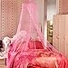 WLM Fashion Dome Bed Canopy Netting Princess Mosquito Net (Pink)