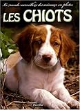 Les chiots