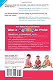 Image de The Wonder Weeks: How to Stimulate Your Baby's Mental Development and Help Him Turn His 10