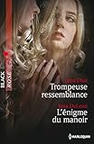 Trompeuse ressemblance - L'énigme du manoir