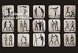 Image de Eadweard Muybridge. The human and animal locomotion photographs. Ediz. inglese, francese e tedesca