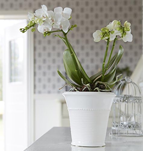 Wikholm Contemporary Beaded White Planter Flower Pot ideally suited for the home or office. 14cm high