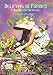 Believing in Faeries: A Manual for Grown Ups by Marcia Zina Mager, Tom Cross
