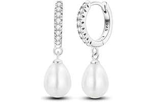 NARMO Pendientes dangle Drop 925 pendientes de Zirconia cúbica femenina de plata esterlina pendientes Luna y estrella pendientes Dream Catcher pendientes femeninas