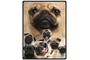 YISUMEI Blanket 150 x 200 cm Cuddly Blankets Soft Flannel Soft Fleece Blanket Bed Throw Comfortable Pug Dog
