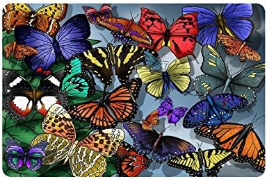 Beautiful Butterfly Doormat Entrance Mat Floor Mat Rug Indoor/Outdoor/Front Door/Bathroom Mats Rubber Non Slip Size 23.6 x 15.7 inches
