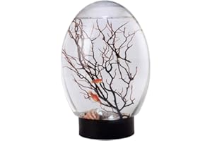 HEMORE Acuario de Escritorio, Tank de Pescado de ecosistema acuático Cerrado de 7.5 Pulgadas Mini Ecosfera con Base giratoria LED, no es Necesario Cambiar de Agua, Tank de Pescado de Personas