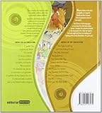 Image de El cielo se está cayendo = The sky is falling (Cuentos de siempre bilingües)