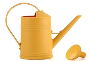 Ailovone Gießkanne mit Brause 2Liter klein Pflanzengießkanne Kunststoff Gießkanne Garten Wasserkanne mit Sprinklerkopf Langer Mund tragbares Gefäß dekorative Gartengeräte (Gelb)