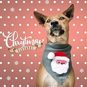 That Dog In Tuxedo Santa Claus Christmas Dog Bandana/Dog Scarf with Adjustable Dog Collar (Size - M-L)