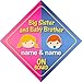 Big Sister And Baby Brother On Board Personalised Car Sign New Baby / Child Gift / Present