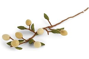 ‎GRY & SIF Gry & Sif Zweig mit Zitonen, Fairtrade, Handmade, Wohndekoration, Sommerdekoration, Geschenkidee, Geburtstagsgeschenk, Vasenschmuck, 60cm