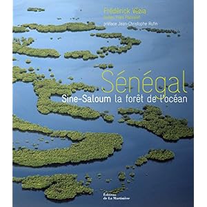 Sénégal : Sine-Saloum la forêt de l'océan