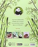 Image de L'histoire vraie de Yen Yen le panda géant (4)